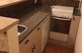 Apartament cu 2 camere, 40 mp, modern, loc de parcare, petfriendly, in zona strazii Dunarii