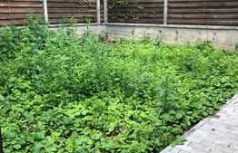 Apartament in vila, 72 mp, gradina 80 mp, zona Eremia Grigorescu