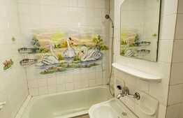 Apartament cu 2 camere, 50 mp, decomandat, zona strazii Campului