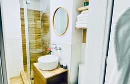 Apartament cu o camera, 30 mp, mobilat lux, servicii de curatenie, zona Blvd. N. Titulescu