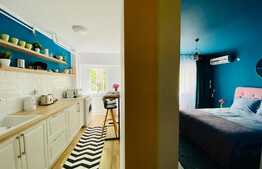 Apartament cu o camera, 30 mp, mobilat lux, servicii de curatenie, zona Blvd. N. Titulescu