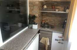 Apatament 1 camera, 22 mp, zona Iulius Mall