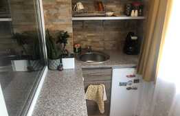 Apatament 1 camera, 22 mp, zona Iulius Mall