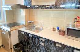 Apartament cu o camera, 41 mp, parcare, zona Studium Green