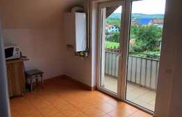 Apartament 2 camere, 50 mp, zona Andrei Muresanu