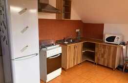 Apartament 2 camere, 50 mp, zona Andrei Muresanu