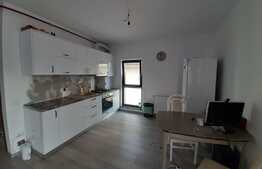 Apartament 3 camere, 56 mp, finisat, mobilat, parcare, zona Romul Ladea