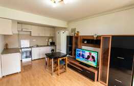 Apartament 2 camere, 50 mp, etaj intermediar! 