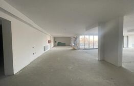 Spatiu comercial de 269 mp!  Vad foarte bun ! 