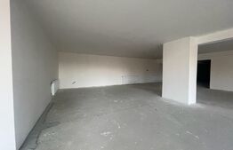 Spatiu comercial de 269 mp!  Vad foarte bun ! 