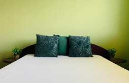 Apartament cu 2 camere, 40 mp, parcare, zona strazii Bizusa