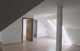 2 camere, 52 mp., finisat, zona Muzeul Apei