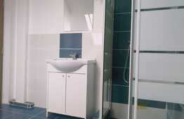 2 camere, 52 mp., finisat, zona Muzeul Apei