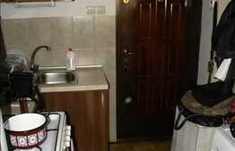 Vanzare 1 camera, 20.7 mp utili, la 5 minute de Real