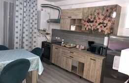 Apartament cu 2 camere, 70 mp, mobilat modern, zona strazii Corneliu Coposu