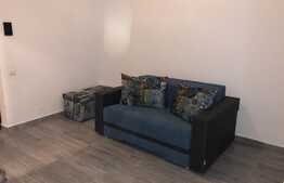 Apartament cu 2 camere, 70 mp, mobilat modern, zona strazii Corneliu Coposu