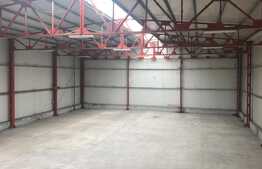 Hala moderna, la soseaua principala