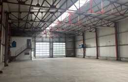 Hala moderna, la soseaua principala