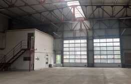 Hala moderna, la soseaua principala