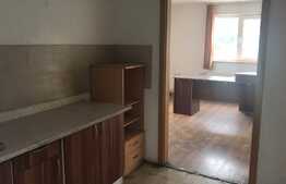 Hala moderna, la soseaua principala