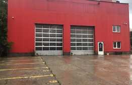 Hala moderna, la soseaua principala