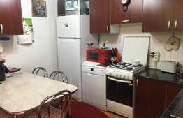 De vanzare casa pentru 2 familii, teren 1200 mp!