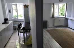 Apartament 1 camera, decomandat, 30 mp, zona P-ta Cipariu