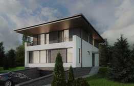 Casa individuala, 228 mp, 1000 mp teren, zona Iris