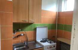 Apartament 1 camera, decomandat, 28 mp, Zona Expo Transilvania