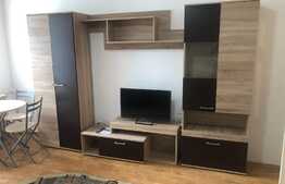 Apartament 1 camera, decomandat, 28 mp, Zona Expo Transilvania