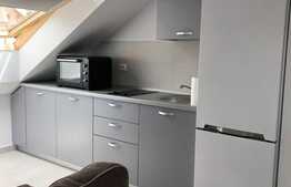 Apartament 2 camere, decomandat, 40 mp, zona Manastur