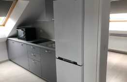 Apartament 2 camere, decomandat, 40 mp, zona Manastur