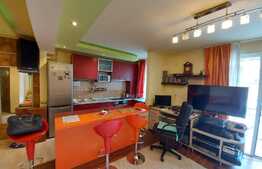 1 camera, 34 mp., zona Florilor