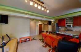 1 camera, 34 mp., zona Florilor