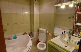 1 camera, 34 mp., zona Florilor