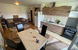 Apartament cu 2 camere, 46 mp, modern lux, zona strazii Eroilor