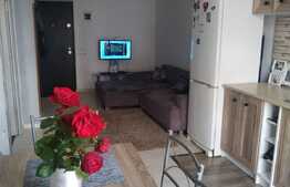 2 camere, 40 mp., zona Terra