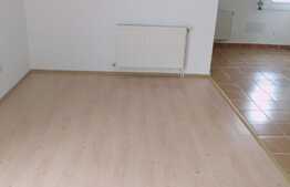 2 camere, 52 mp., finisat, zona Muzeul Apei