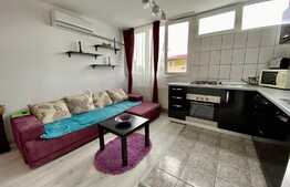 Apartament cu 1 camera, 32 mp, zona strazii Dambovitei 