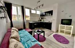 Apartament cu 1 camera, 32 mp, zona strazii Dambovitei 