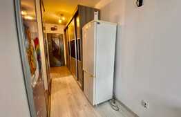 Apartament cu 1 camera, 32 mp, zona strazii Dambovitei 