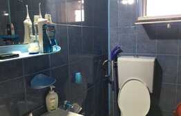 De vanzare casa finisata, mobilata, Exterior Est