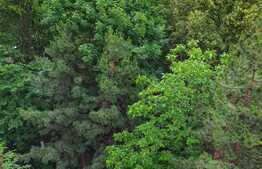 Apartament 2 camere, 45 mp, intermediar, zona Iulius Mall, ideal pentru investitie!