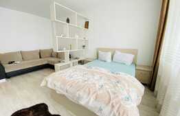 Apartament o camera, 40 mp, decomandat, mobilat modern, zona Corneliu Coposu