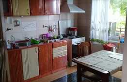 Duplex finisat, 170 mp utili, 300 mp teren, zona Andrei Muresanu