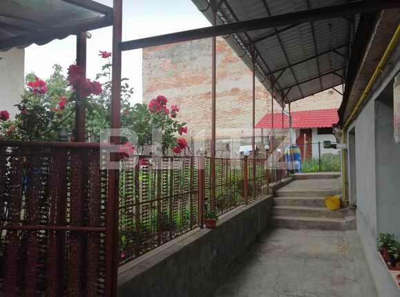 Casa de vânzare 6 camere Gruia - 51523CV | BLITZ Cluj-Napoca | Poza3