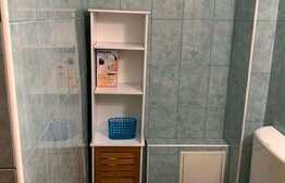 Apartament cu 1 camera, decomandat, 30 mp, zona strazii Bucuresti