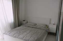 2 camere, 60 mp., zona Eroilor