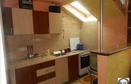 Apartament de vanzare cu 1 camera, 46 mp in zona Florilor,