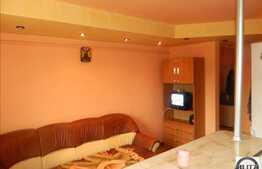 Apartament de vanzare cu 1 camera, 46 mp in zona Florilor,